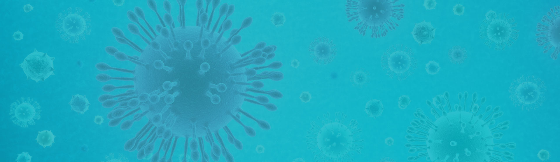 Venta de gel antibacterial, sanitizantes y jabon de manos antibacterial